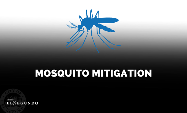 March 2 Mosquito Mitigation Update
