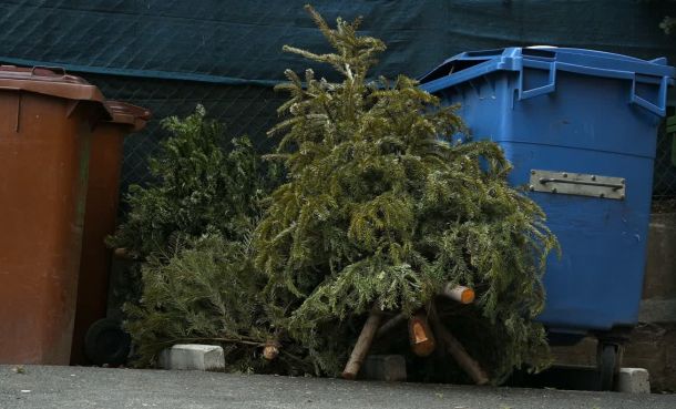 Christmas tree recycling - website thumbnail