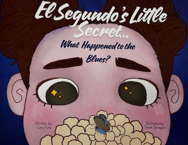 es-little-secret-book-cover