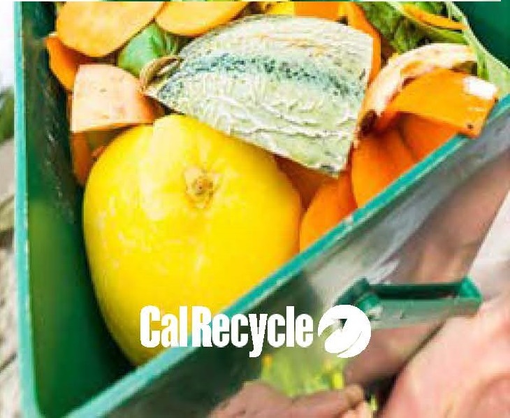 cropped Organic photo2